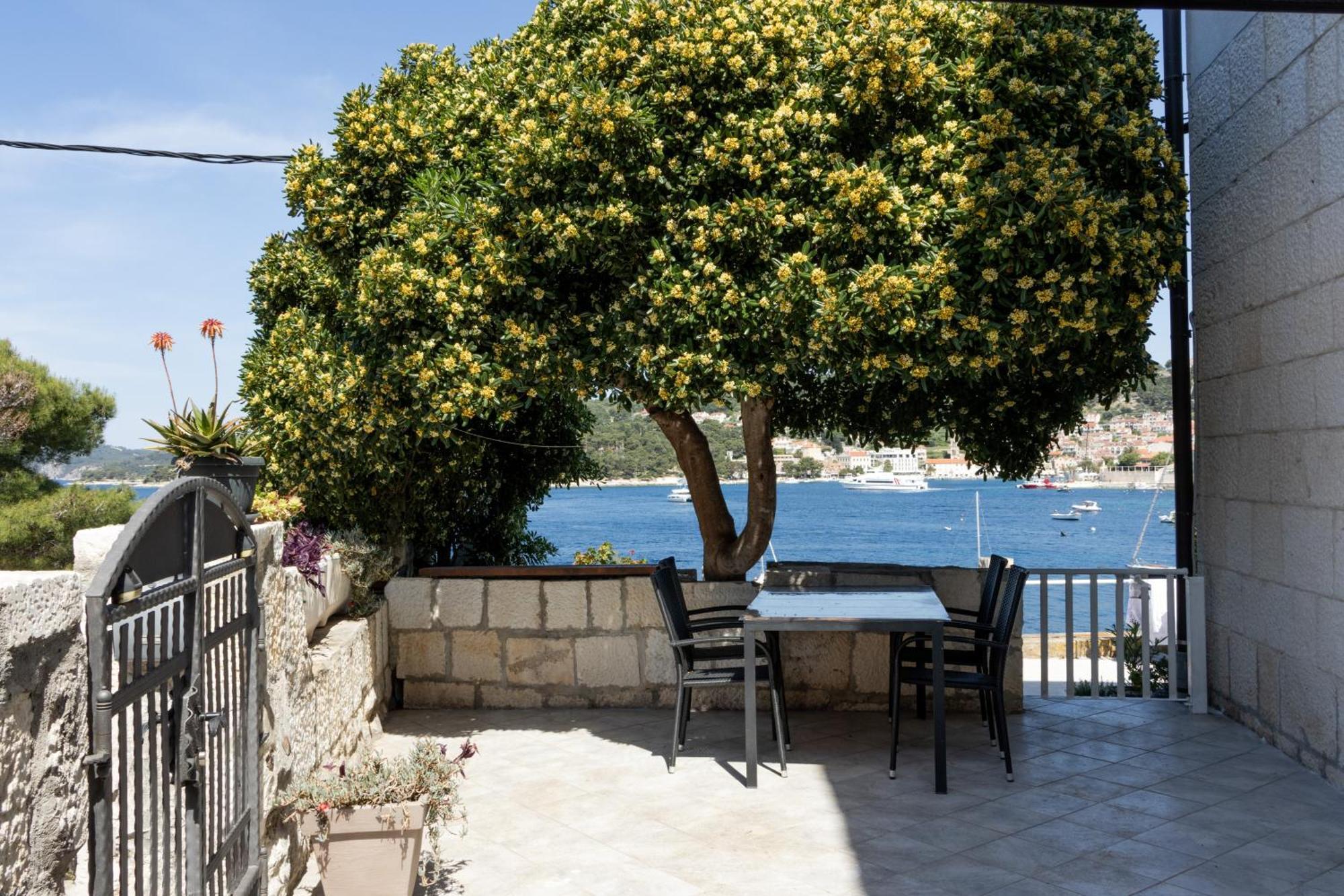 Apartman Radosic Hvar Town Zewnętrze zdjęcie