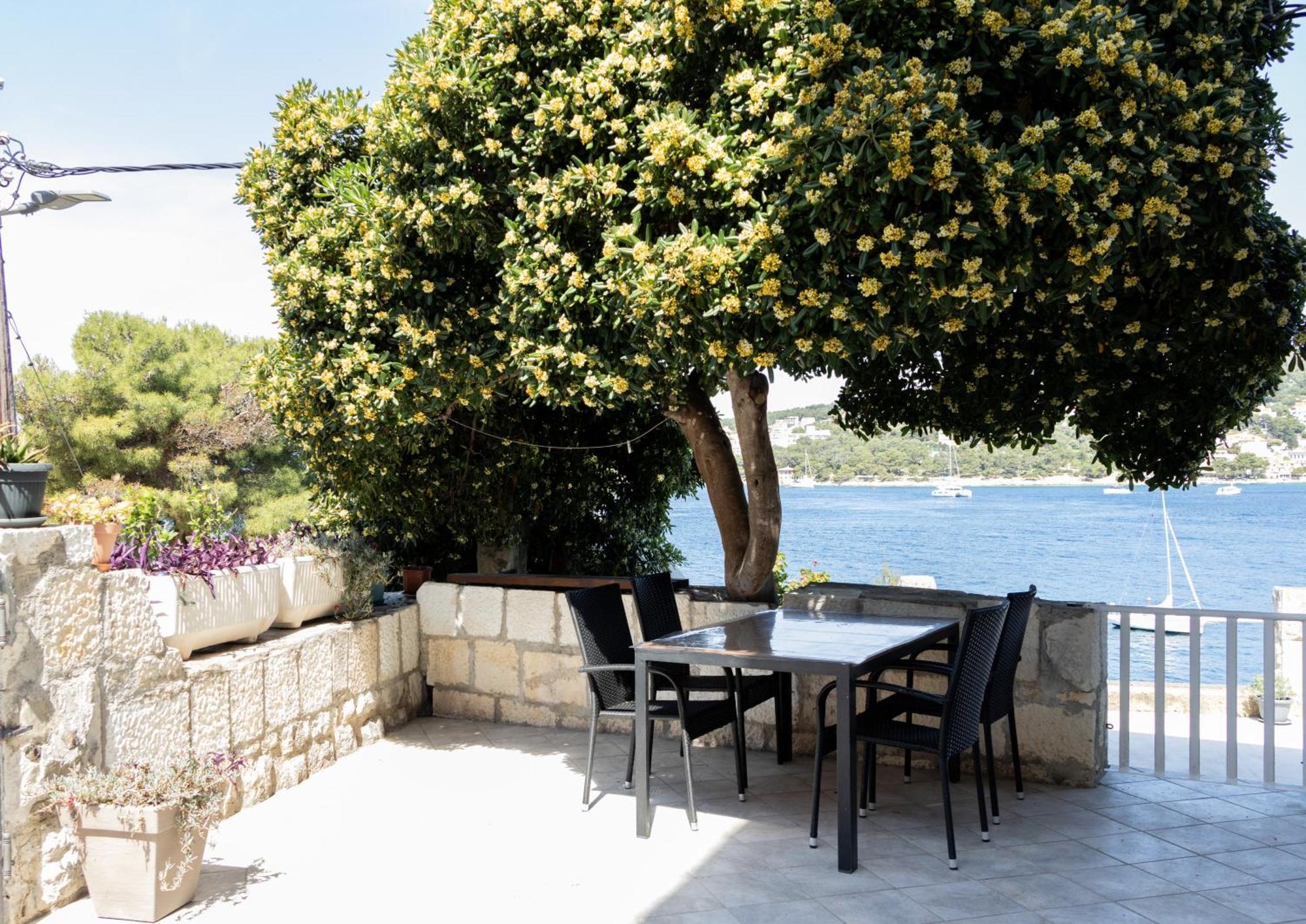 Apartman Radosic Hvar Town Zewnętrze zdjęcie