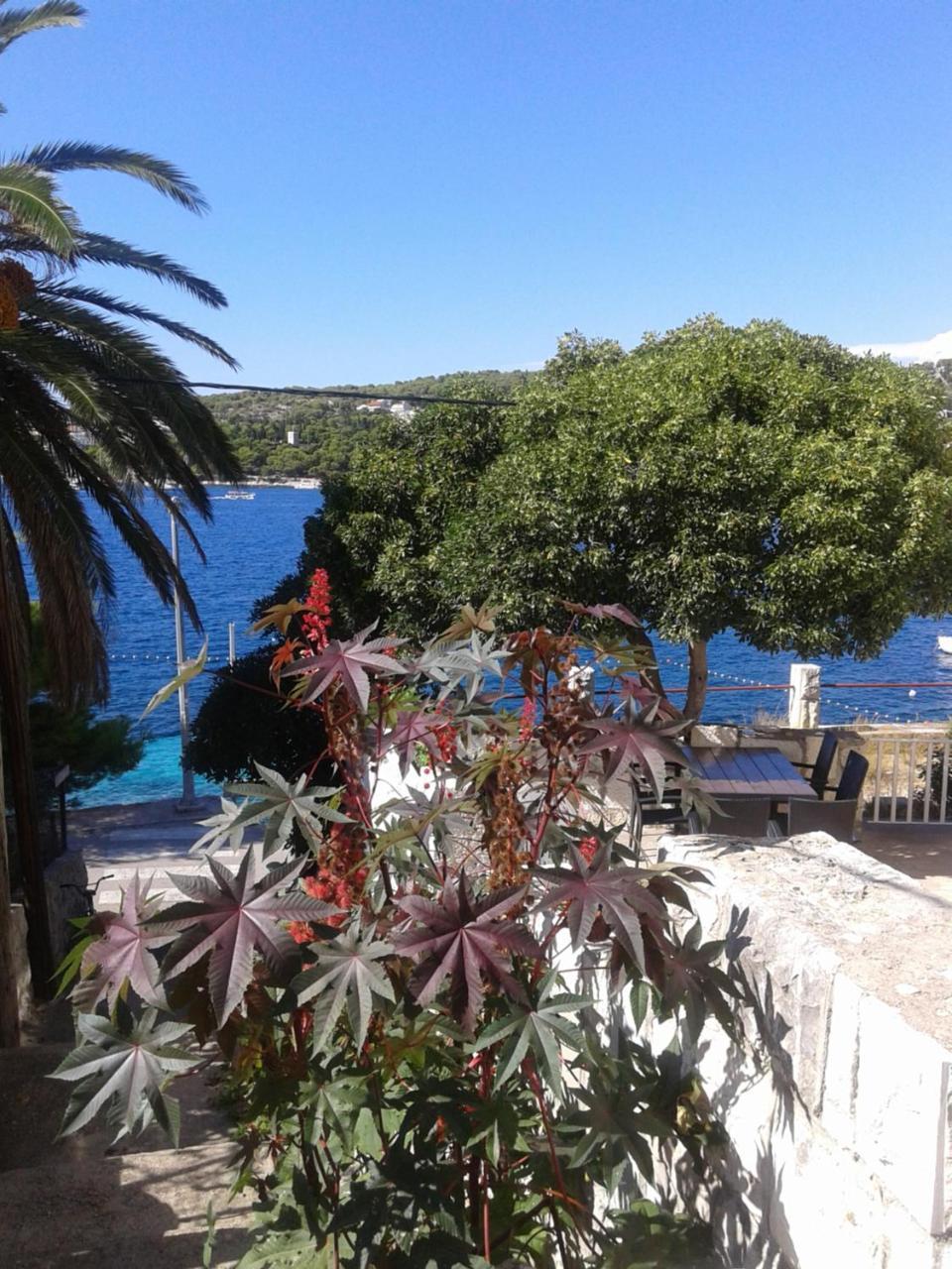 Apartman Radosic Hvar Town Zewnętrze zdjęcie